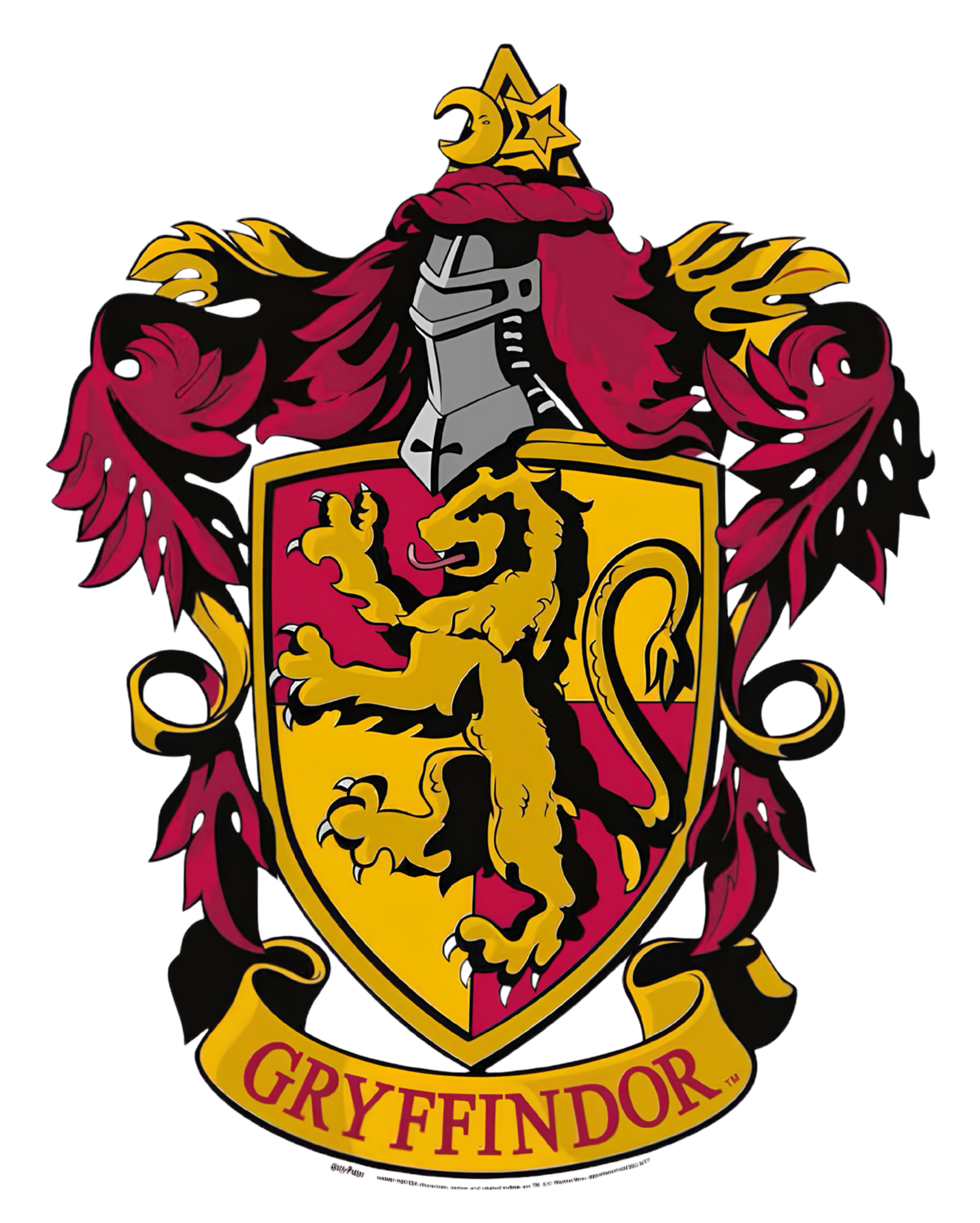 Logo Fathir